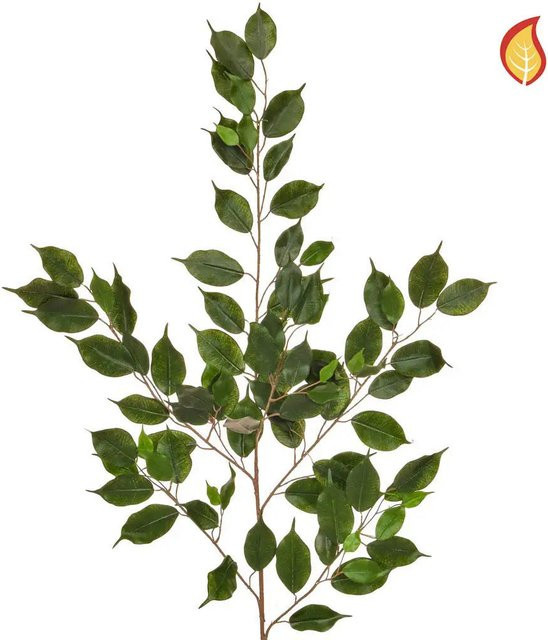 Künstlicher Ficuszweig Aplanta Barbara, Höhe: 100 cm - Bild 1
