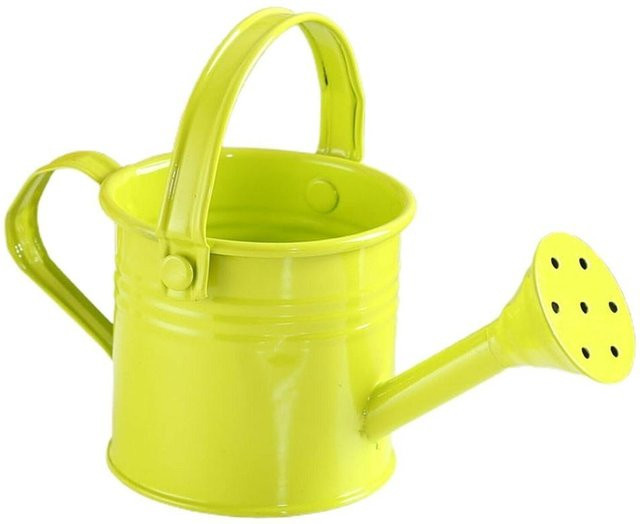 InneteVigo Metall Gießkanne im Kawaii Vintage Blumen Design mit langem Auslauf für Zimmerpflanzen und den Garten in verschiedenen Farben - Bild 1