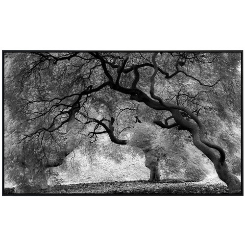 papermoon Infrarotheizung EcoHeat Mystic Trees in Black und White mit Matt-Effekt und App-Steuerung - Bild 2