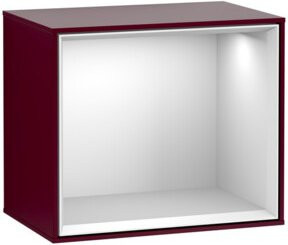 V&B Regalmodul Finion mit LED-Innenbeleuchtung in Weiß Matt, B/T/H: 41,8 x 35,6 x 27 cm - Bild 1