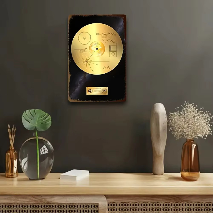 Retro Space Voyager Golden Record Metallschild von CIFBUY in Gold, B: 20,3 cm, H: 30,5 cm - Bild 2
