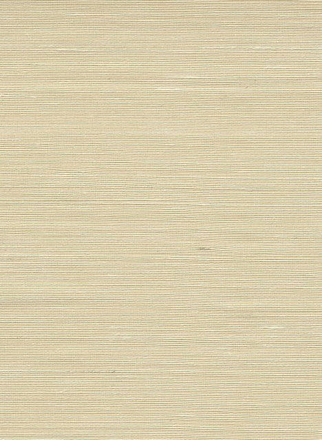 Arte International Tapete Agave in Natural Beige mit botanischem Sisal-Design - Bild 1