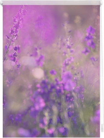 Lichtblick Rollo Klemmfix Blumenwiese Verdunkelung Fuchsia Violett B: 100 cm, H: 150 cm - Bild 1