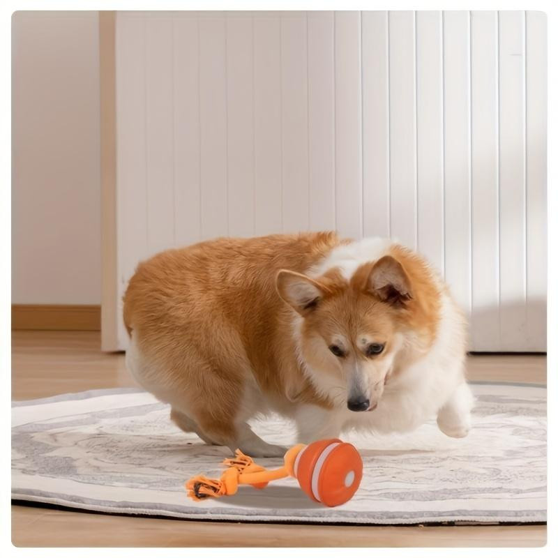 chenxiaogang Elektrischer Hüpfball Hundespielzeug orange - Bild 2