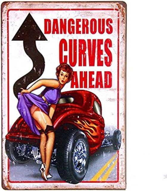 WEIMEILD Blechschild Dangerous Curves Legends Hot Rod Retro Wanddeko Mehrfarbig B: 20,0 cm, H: 14,0 cm - Bild 1