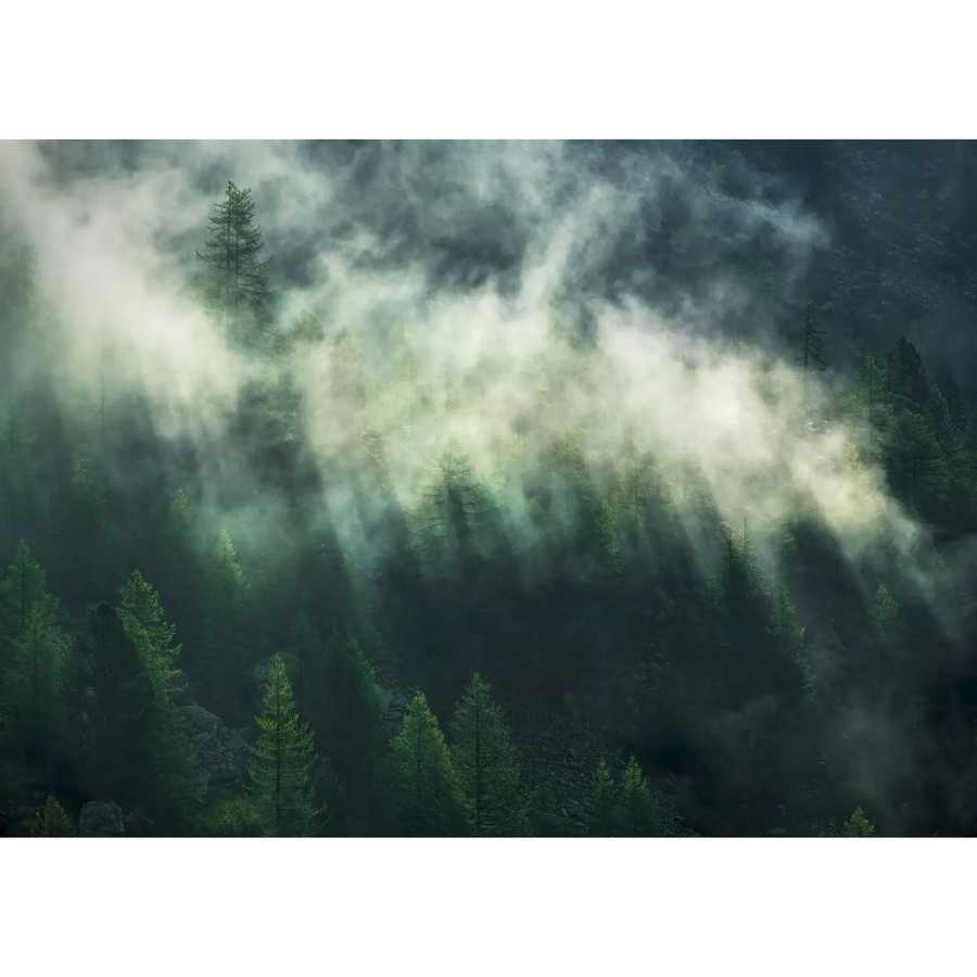 Komar Vliesfototapete Misty Crowns B: 350 cm, H: 250 cm - Bild 2