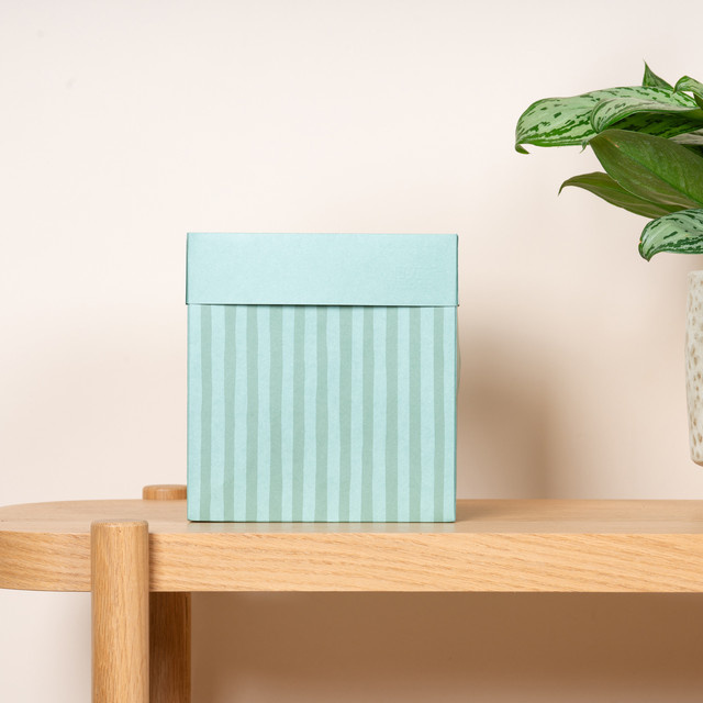 Geschenkbox aus Papier von BLUME2000 in Mint Stripe, Größe L - Bild 1