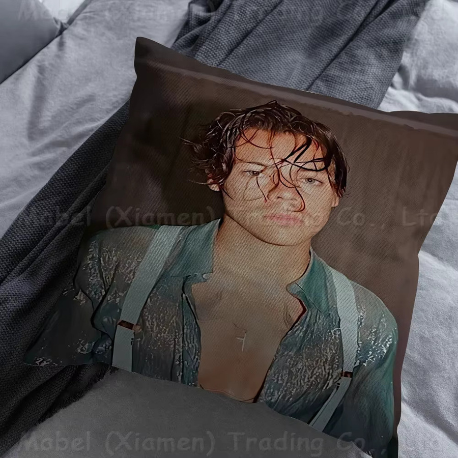 Personalisiertes Kissen mit Bild und Text von Sängerin H-Harrys S-Styles zur Heimdekoration, B/B: 45 x 45 cm - Bild 5
