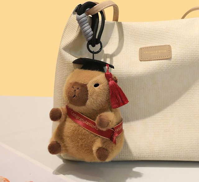 DR. Capybara Capybara Schlüsselanhänger Rucksackanhänger, Plüsch / Textil, 12cm, ab 14 Jahren - Bild 1