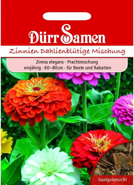 Dürr Samen Zinnien Dahlienblütige Prachtmischung Einjähriges Saatgut für Garten und Beete - Bild 1