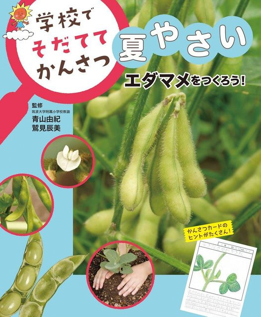 Lasst uns Edamame anbauen! (Sommergemüse in der Schule anbauen und beobachten) von Yuki Aoyama, Tatsumi Washimi, Sachbuch - Bild 1