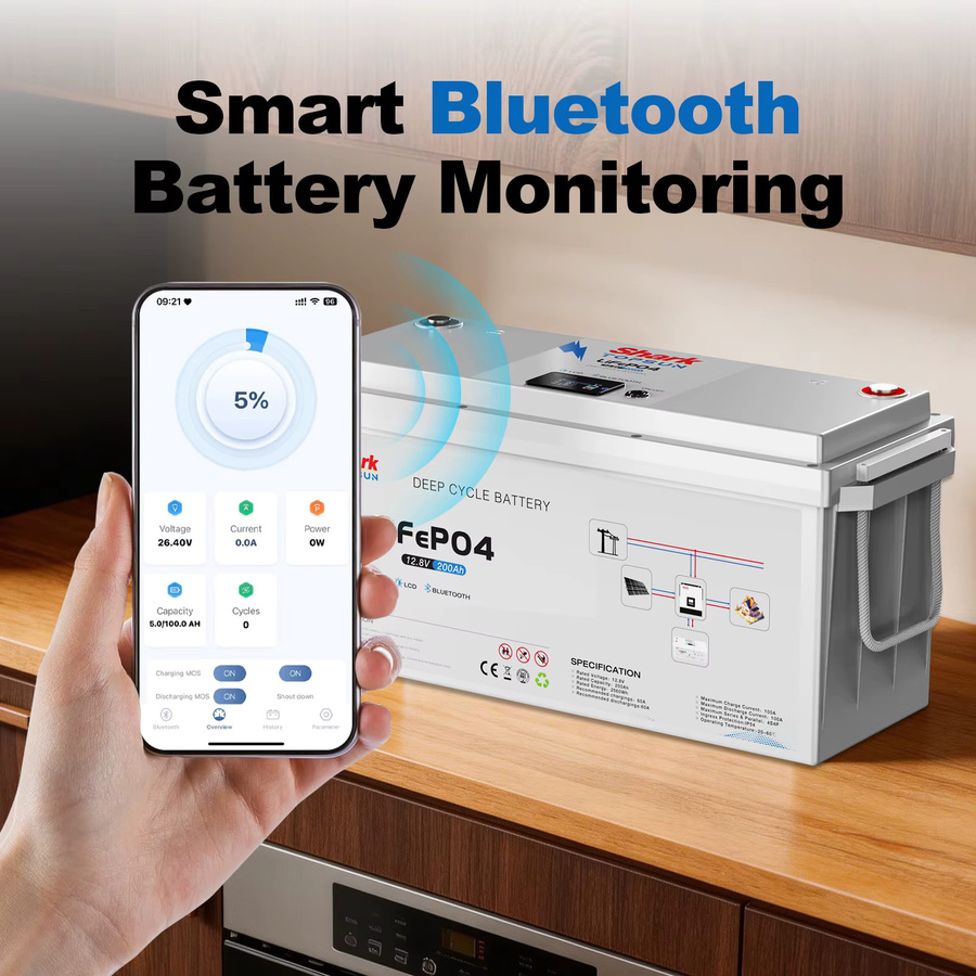 SANDISOLAR LiFePO4 Batterie 12,8V 200Ah mit 2560Wh, Bluetooth, LCD-Display und 100A BMS, Grade-A-Zellen für Wohnmobile, Solar, Off-Grid und Boote - Bild 6