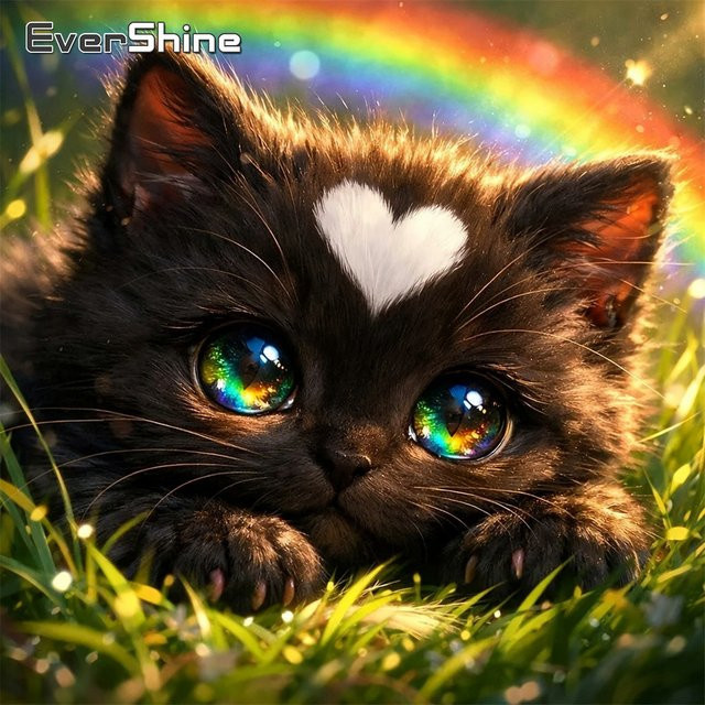 Evershine DIY-Diamantgemälde Katze mit Regenbogen Motiv in Multicolour, Mosaik-Strass-Bild für Anfänger, Breite: 20,0 cm, Höhe: 20,0 cm - Bild 1
