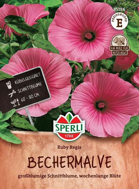SPERLI Bechermalven-Samen Ruby Regis - Bild 1