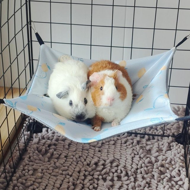 Atmungsaktive Doppelseitige Hamsterhängematte aus Eisseide und Samt für Meerschweinchen in Blau - Bild 1