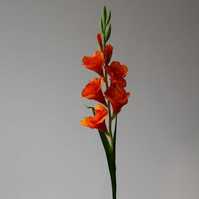 4er-Set TolTales Künstliche Gladiolen in Seidenrosa und Orange, 7-köpfige Simulationsblumen für Hochzeitsdekoration und Auditorium - Bild 1