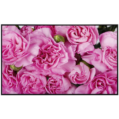 papermoon EcoHeat Infrarotheizung Rosen rosa, Matt-Effekt mit App-Steuerung und Überhitzungsschutz - Bild 2