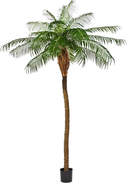 Künstliche Dattelpalme Aplanta Höhe: 200 cm - Bild 1