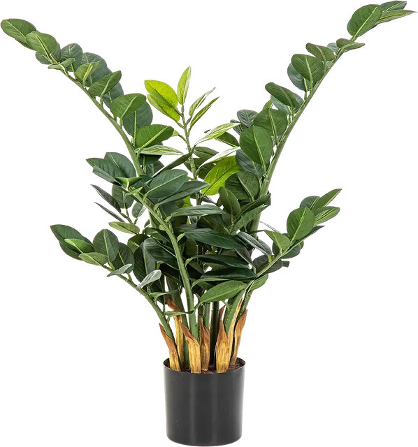 Künstliche Zamioculcas Svea von Aplanta in Grün, Höhe: 66 cm - Bild 1
