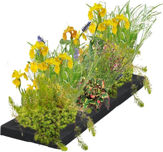 Vdvelde Filterinsel für den Teich als Komplettset mit 12 Wasserpflanzen, B/H: 75 x 25 cm - Bild 1