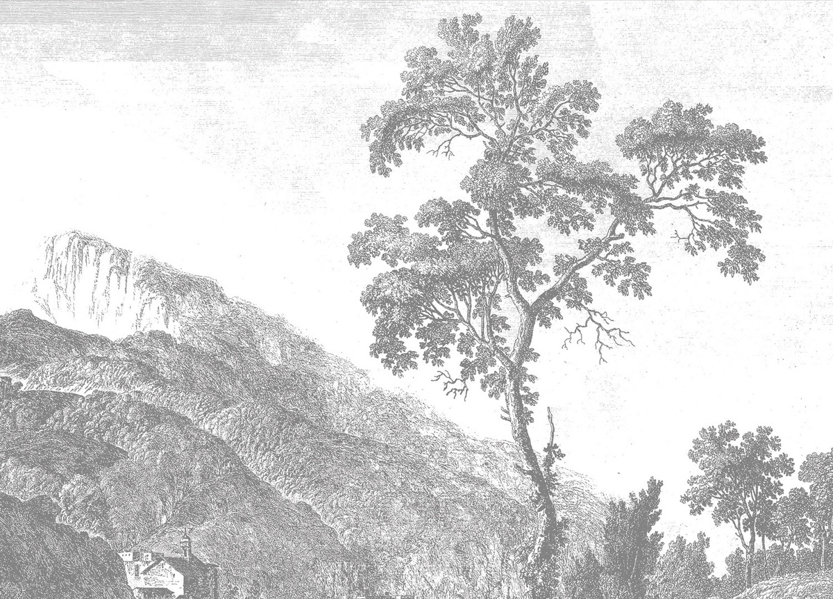 KEK Amsterdam Mural Engraved Landscapes 1 Wandgestaltung in Schwarz Weiß Grau, Breite: 389,6 cm - Bild 2