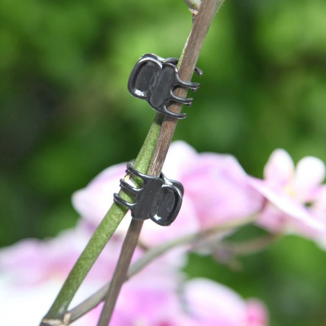 Floraworld Orchideenclip 10er-Set aus Kunststoff in Anthrazit - Bild 1