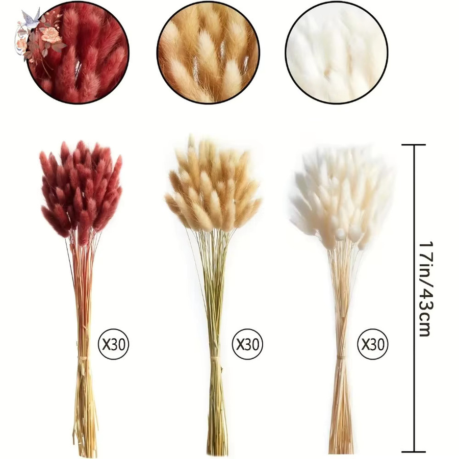 90 Stück Boho Herbst getrocknete Blumen Set aus Lagurus Hasenschwänzen in 3 Farben Mix zur Inneneinrichtung und Heimdekoration - Bild 4