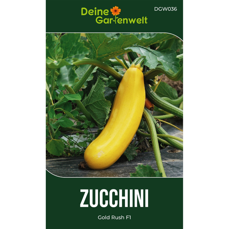 Deine Gartenwelt Zucchini Gold Rush F1 Gemüsesamen - Bild 2