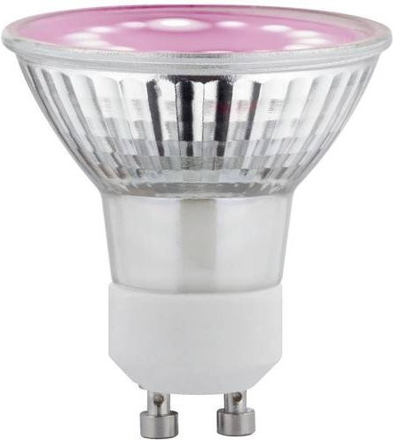 Paulmann LED-Pflanzenlampe Wachstum GU10 3,5 W 230 V Bernstein - Bild 1