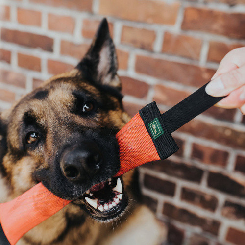 HUNTER Kleintierspielzeug Trient, für Hunde, rot - Bild 2