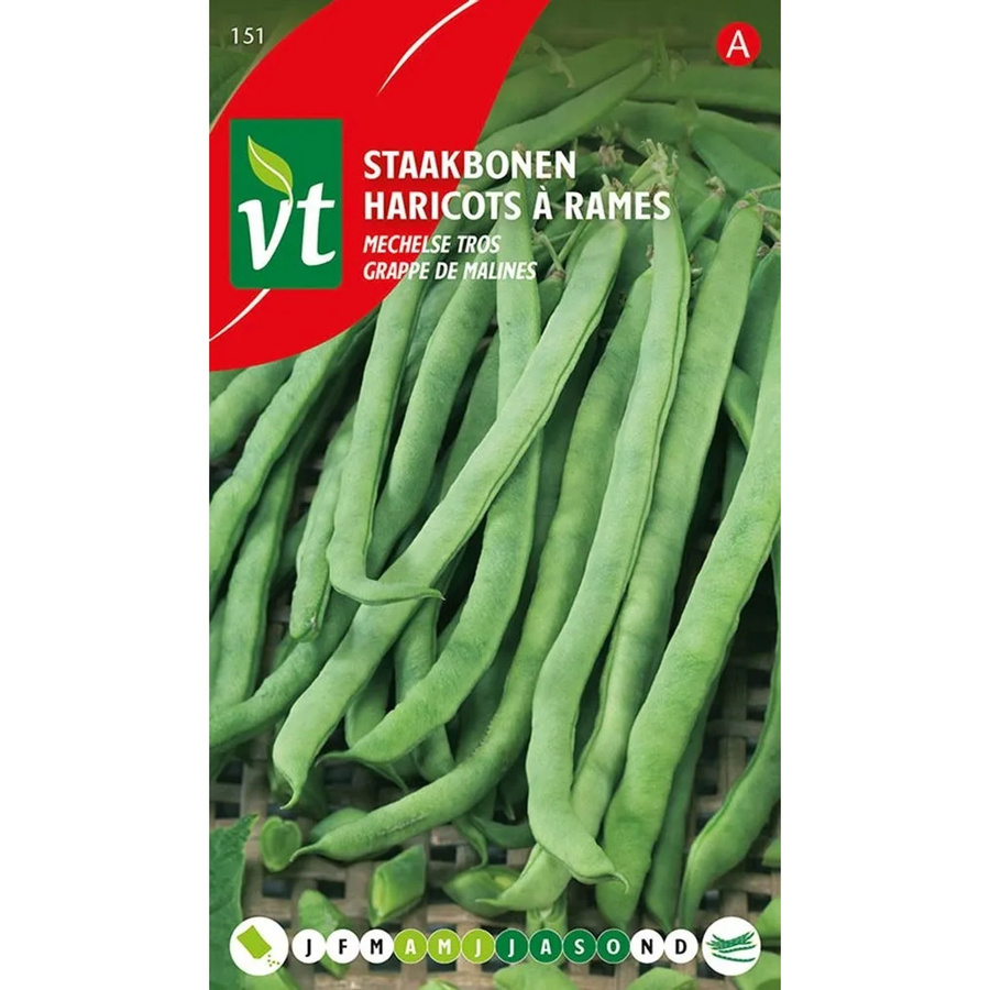 Arborix Ackerbohne Mechelse Tros Saatgut 50 g - Bild 2
