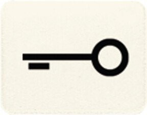 Jung Schalter Symbol Weiß TÜR 33 T - Bild 1