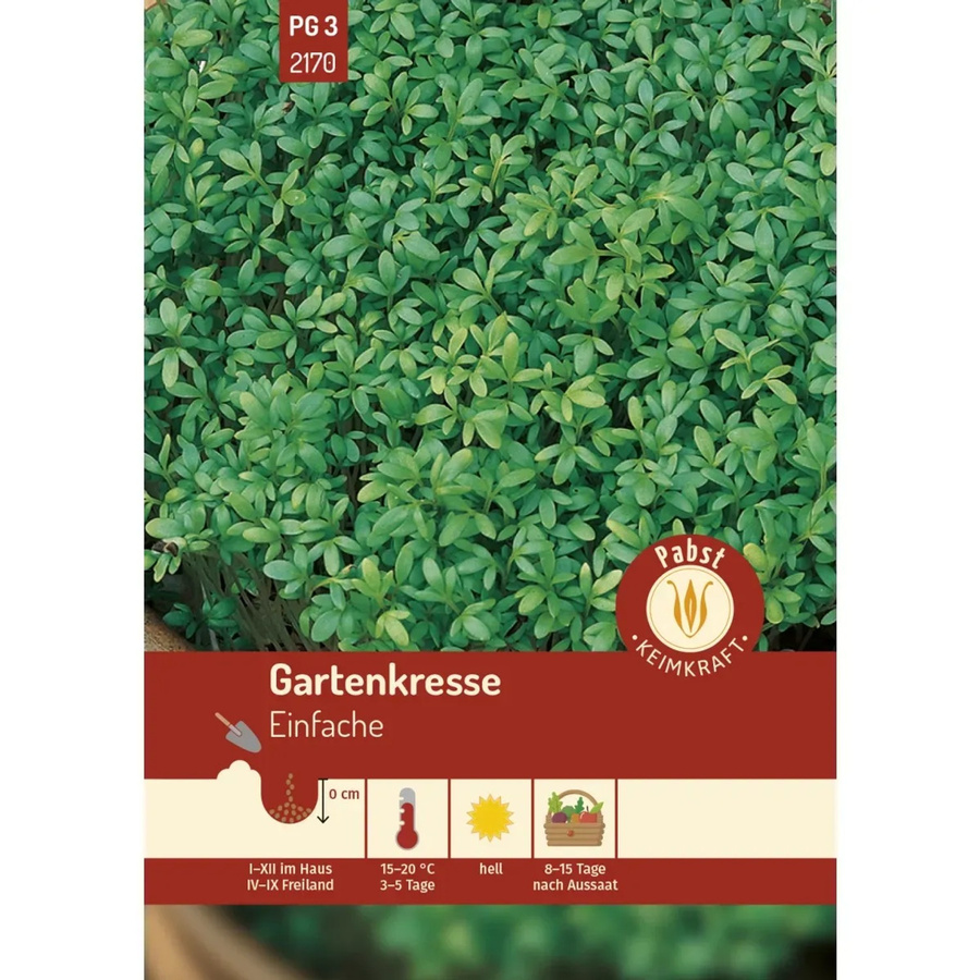 Pabst Keimkraft Gartenkresse Saatgut für Garten, Balkon oder Fensterbank - Bild 2