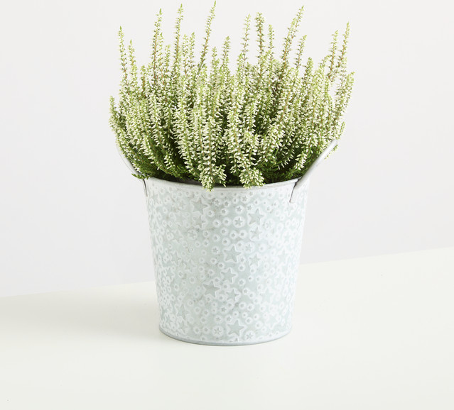 BLUME2000 Zink Übertopf Stern in Silber und Grau, rustikaler Tischübertopf, Höhe: 13,4 cm, Breite: 13,0 cm, Tiefe: 1,0 cm - Bild 1