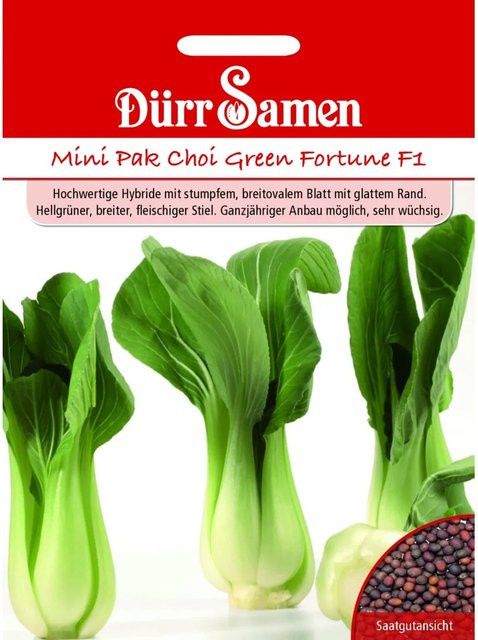Dürr Asia-Salat Green Fortune F1 Saatgut für die Frühsaat oder Aussat im September - Bild 1