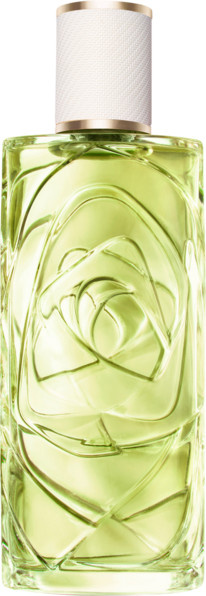 Lancôme Les Ô Ôff Now Eau de Toilette Spray, Damen, Zitrisch, Holzig - Bild 1