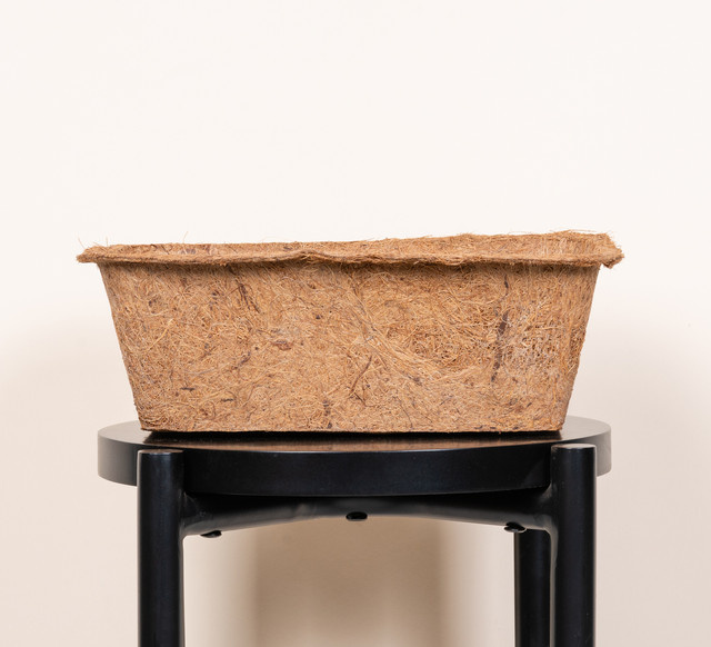 Kokos Pflanzeschale von BLUME2000 aus Kokosfasern, Braun, Breite: 23,0 cm, Tiefe: 23,0 cm, Höhe: 10,0 cm - Bild 1