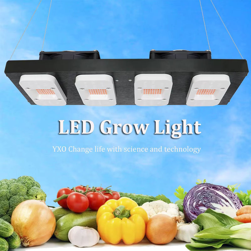 YXO YUXINOU 2000W COB LED Pflanzenlampe mit Vollspektrum für Indoor Growbox, Blumen, Gemüse und Sämlinge - Bild 5