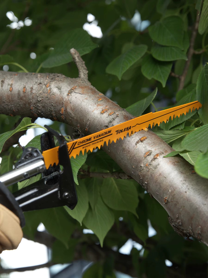 TOLESA 5er Set professionelle Säbelsägeblätter für Holz mit 6 TPI, Länge: 15,24 cm - Bild 7