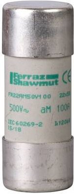 Schneider Electric DF2FA100 Sicherungseinsatz, 10 Stück, Silber - Bild 1