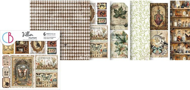 Ciao Bella Vellum Paper Cabinet of Curiosities in Transparent/Multicolor - Bild 1