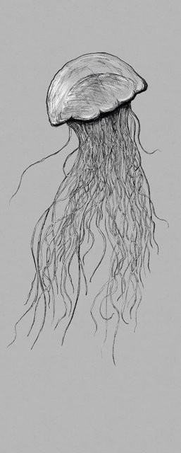 Komar Fototapete Vlies Jellyfish Panel B: 100 cm, H: 250 cm - Bild 1