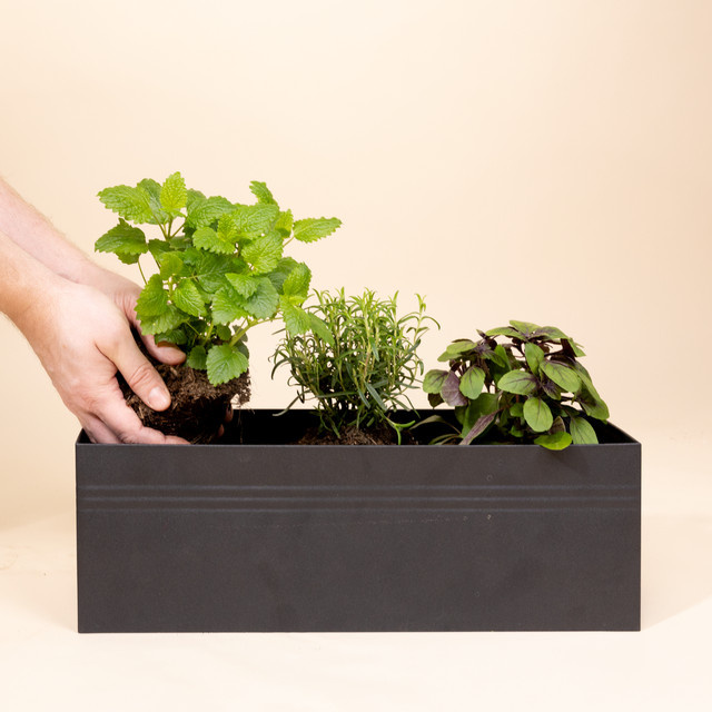 BLUME2000 Plantbox aus Metall in Schwarz für Balkon und Terrassentisch - Bild 1