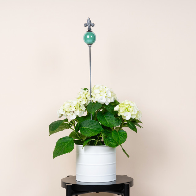 Keramikstecker Kugel von Green Living in Mint - Bild 1