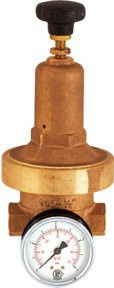 Riegler Druckregler DRV 250 Niederdruckausführung G 1/4 in Gold, 0,2 - 2 bar - Bild 1