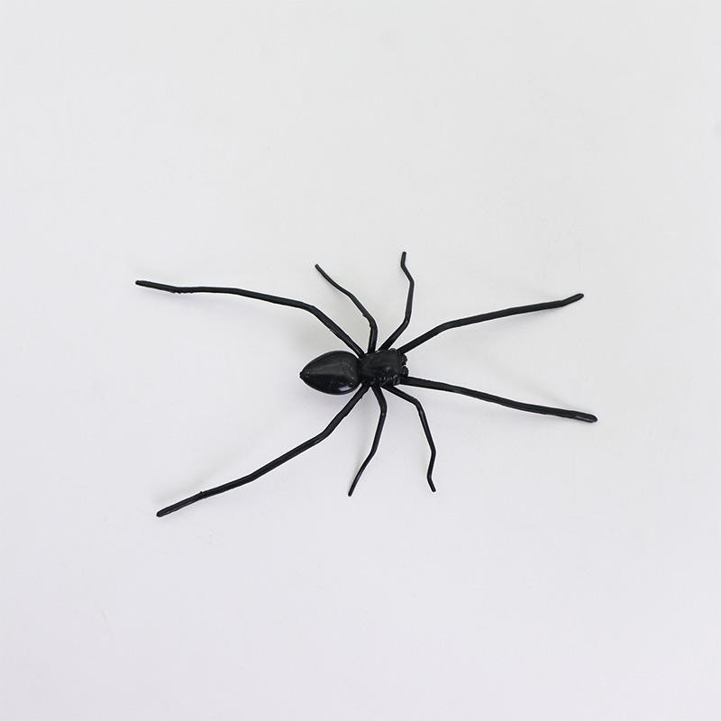 Tinika Chen Spinnen Kühlschrankmagnete in Schwarz als lustige Halloween Deko - Bild 1