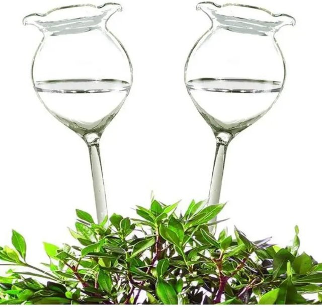 2er Set automatische Bewässerungskugeln aus mundgeblasenem Klarglas für Pflanzen, transparent, B/T/H: 8,0 x 8,0 x 25,4 cm - Bild 1