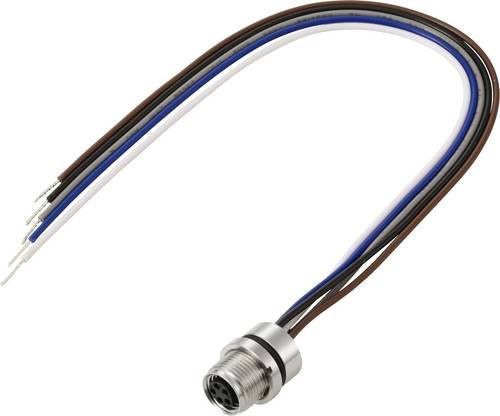 TRU COMPONENTS Anschlussleitung TC-13751916 mit M8 x 1 und M10 x 0.75 Buchse, gerade, 5 Polzahl, Farbe: Multicolour, Länge: 0,2 m - Bild 1
