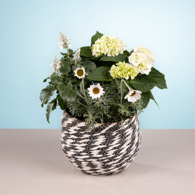BLUME2000 Scandi Übertopf gestreift in Weiß für Balkon und Terrasse Höhe: 45 cm, Breite: 21 cm, Tiefe: 21 cm - Bild 1