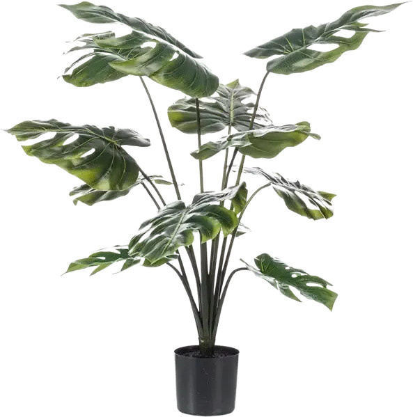 Künstliche Monstera Karl von Aplanta, grün, Höhe: 80 cm - Bild 1